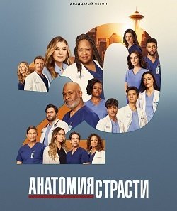 Анатомия страсти (20 сезон)